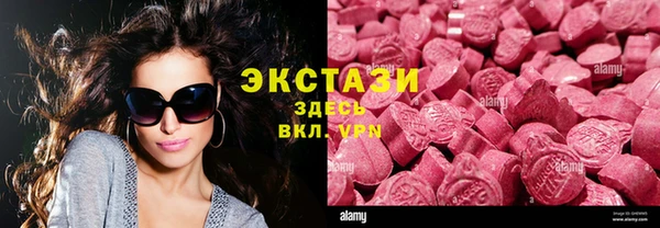 стаф Алексин